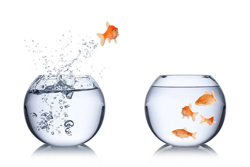 Ein Fisch, der von einem Fischglas in ein anderes Fischglas springt