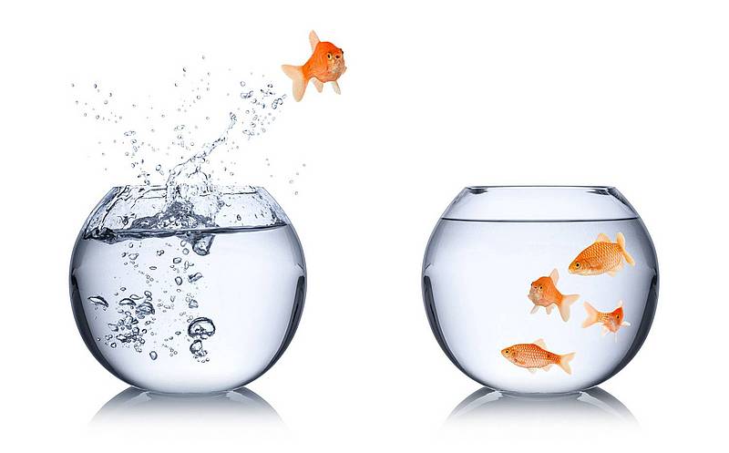 A fish jumping from one fishbowl to another fishbowl