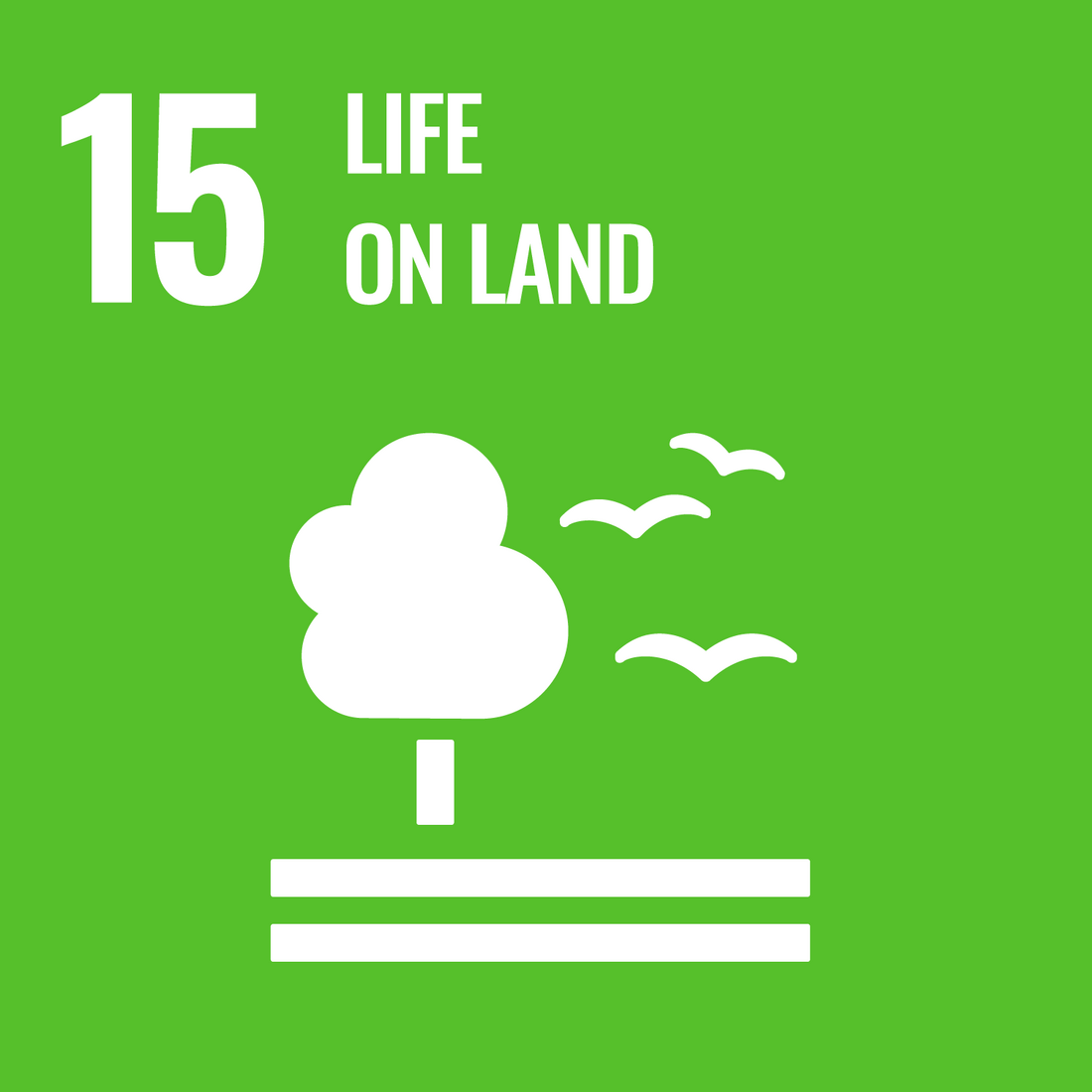 Writing SDG 15 Life on land 
