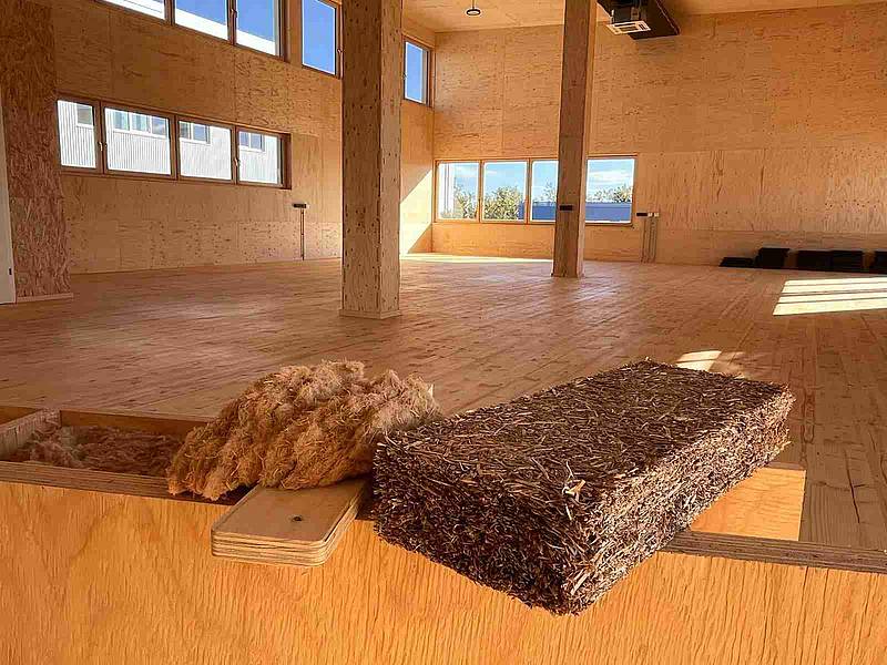 Außenansicht des Holz-Gebäudes "[Bau]kasten" auf dem Hochschule Campus Wien