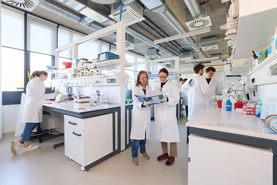 Mehrere Forscher und Forscherinnen bei der Arbeit in einem Biotechnologie-Labor