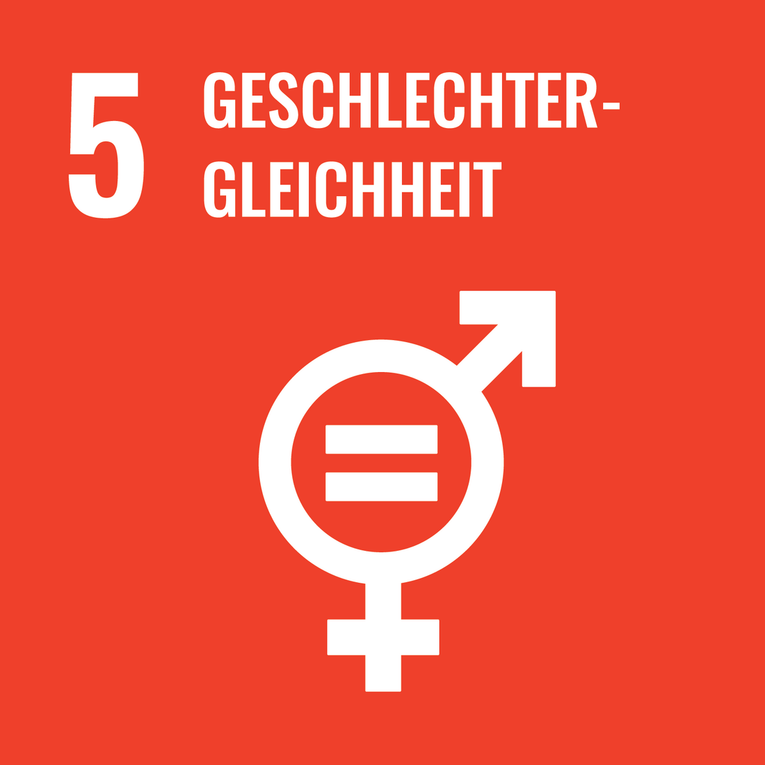 Schriftzug SDG 5 Geschlechtergleichheit