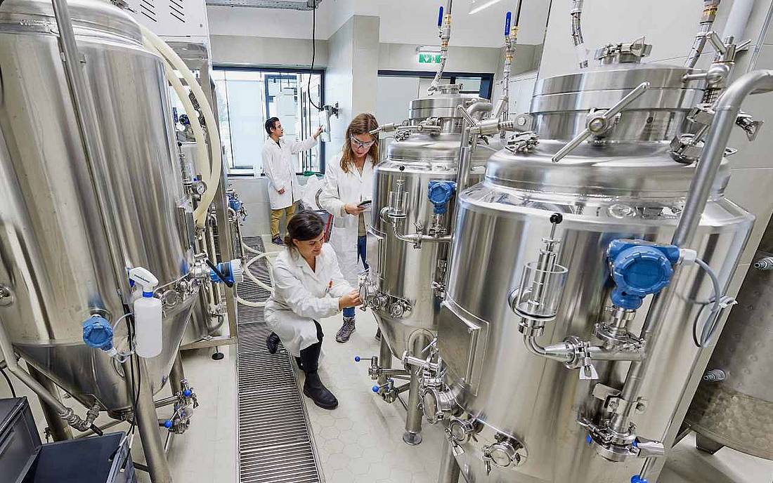 © HCW | Schedl Drei Personen in Laborkitteln arbeiten inmitten von Edelstahl-Gärtanks