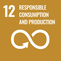 Writing SDG 12 Responsible consumption and production 