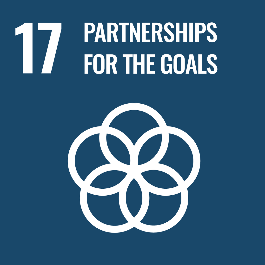 Writing SDG 17 Partnerships for the goals 