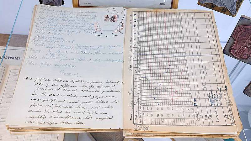 Pflegedokumentation Fieberkurve und medizinische Dokumente am Beispiel der Diphterie