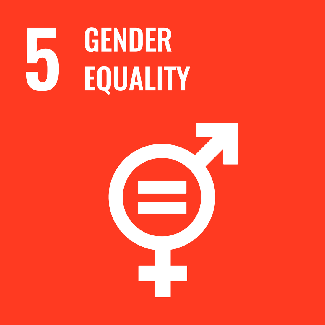 Writing SDG 5 Gender equalitiy 