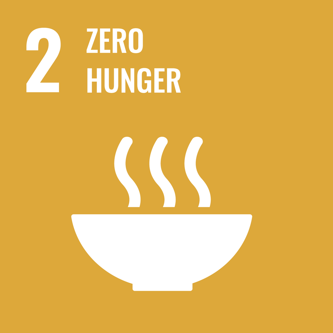 Writing SDG 2 Zero Hunger 