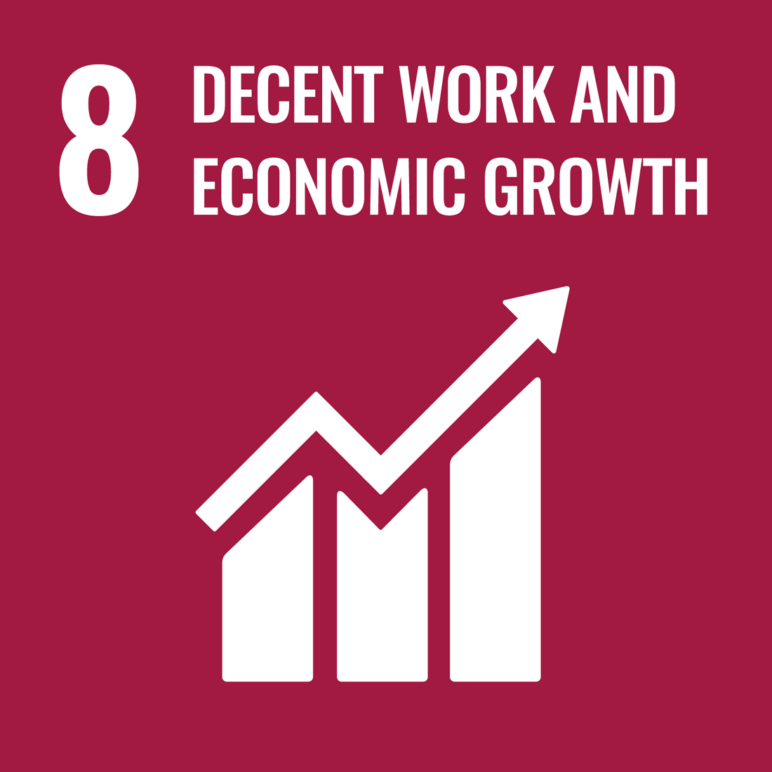 Writing SDG 8 Decent work and economic growth 