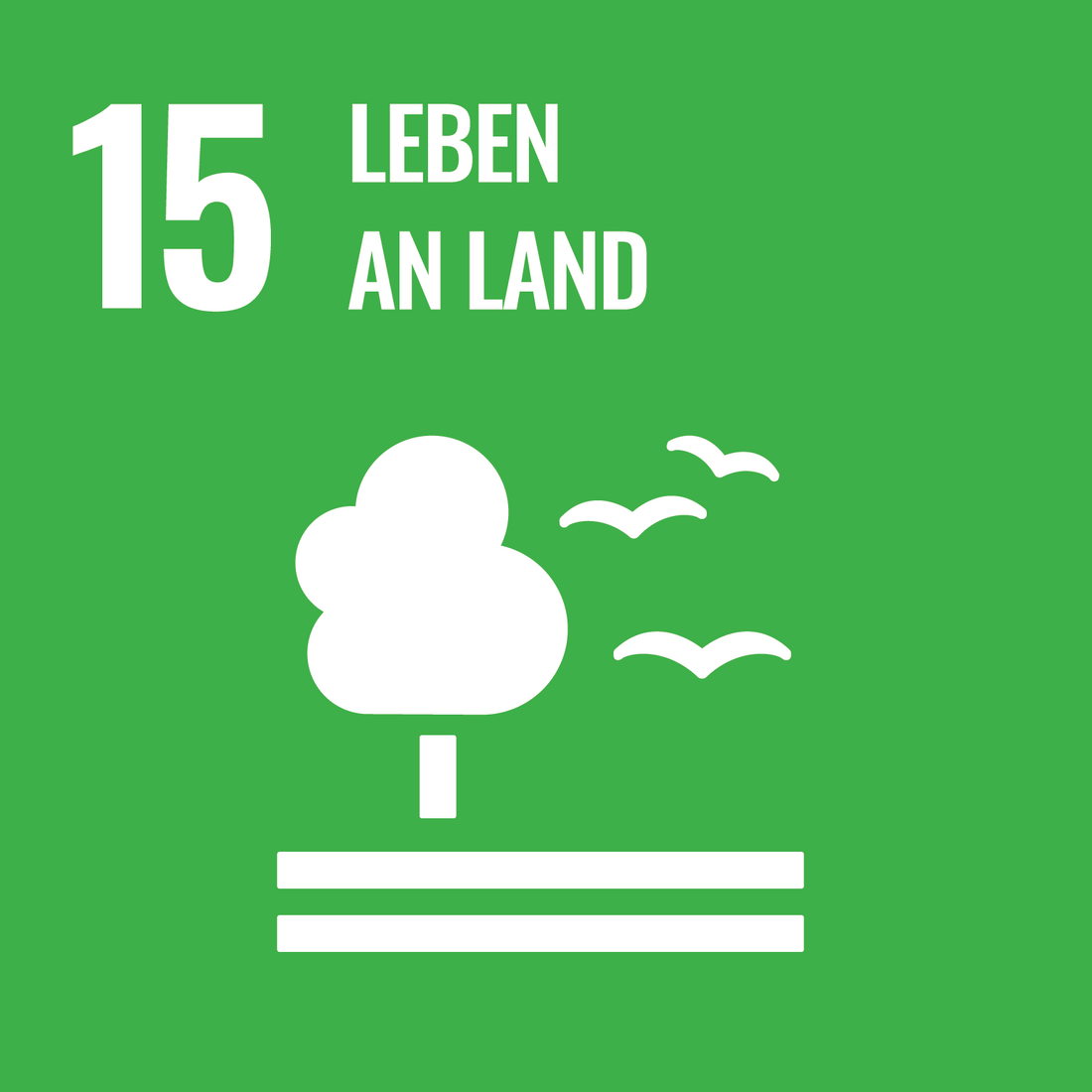 Schriftzug SDG 15 Leben an Land 