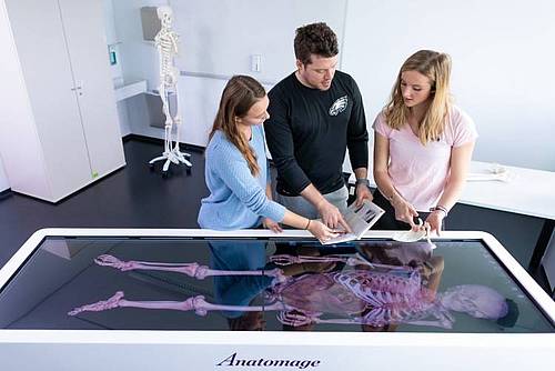 Drei Studierende stehen vor einem Bildschirm in einem Labor mit einer anatomischen Darstellung .