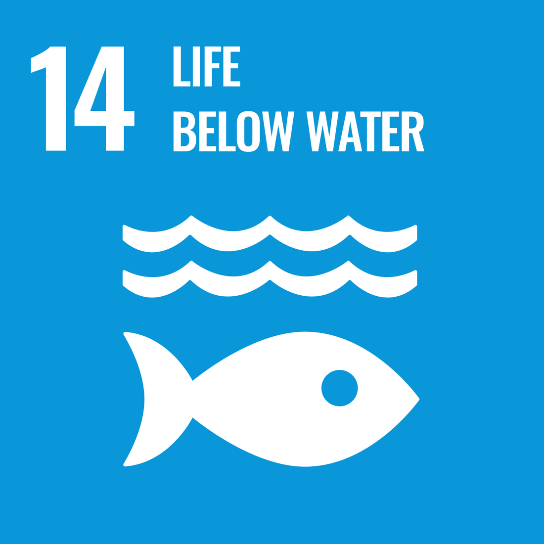Writing SDG 14 Life below water 