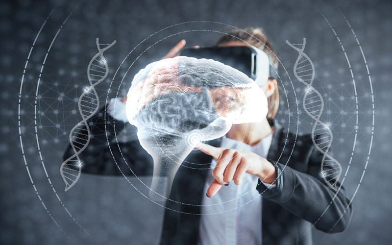 © Standret/Shutterstock.com Eine Frau berührt in einer künstlichen Dimension ein holografisches Gehirn