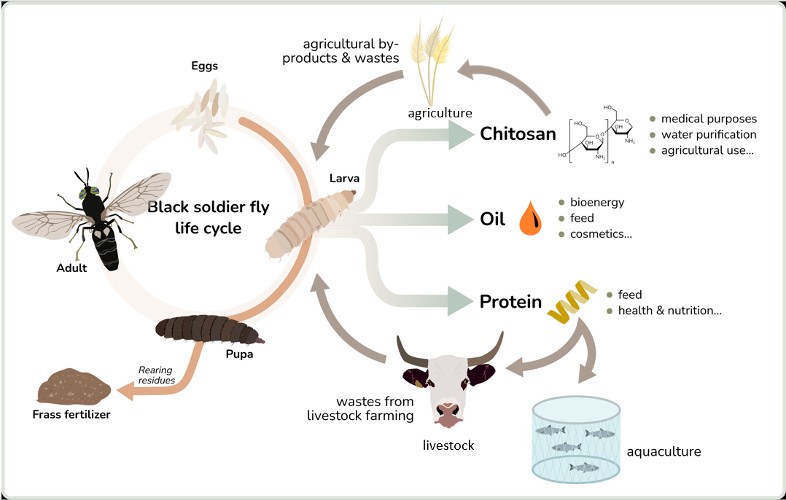 Der Arbeitsprozess ist grafisch dargestellt
