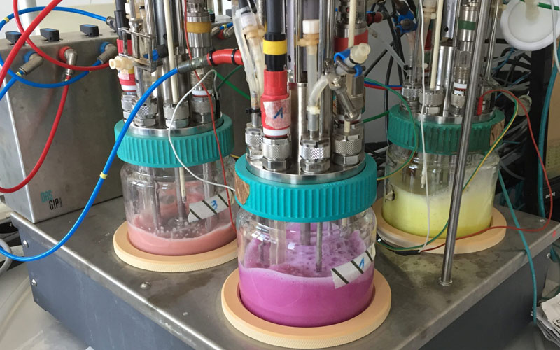 © Seiberl Drei mit grell farbigen Substanzen gefüllte Container sind abgebildet