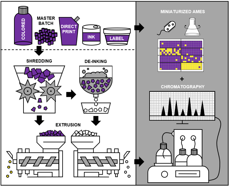 Schematic overview of the project: Preparation of defined coloured samples through simulation of a mechanical recycling process and their analysis with in vitro bioassays and chemical methods