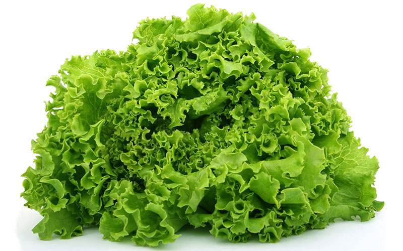 Lettuce