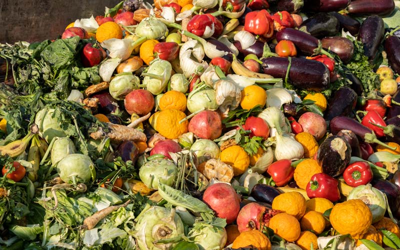 © Roman Mykhalchuk/iStock Diverse verrottende Obst- und Gemüsesorten auf einem Berg