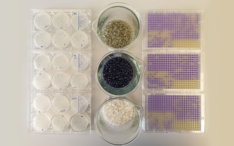 Bioassays und Granulate aus recyceltem post-consumer Polymer
