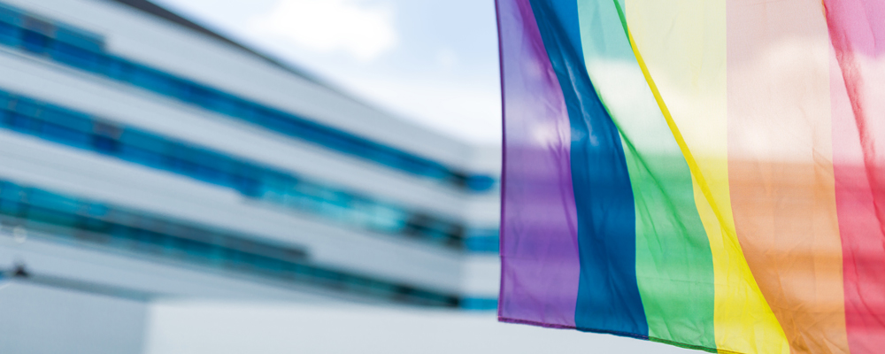 Semi-transparent rainbow flag in front of the Hochschule Campus Wien building