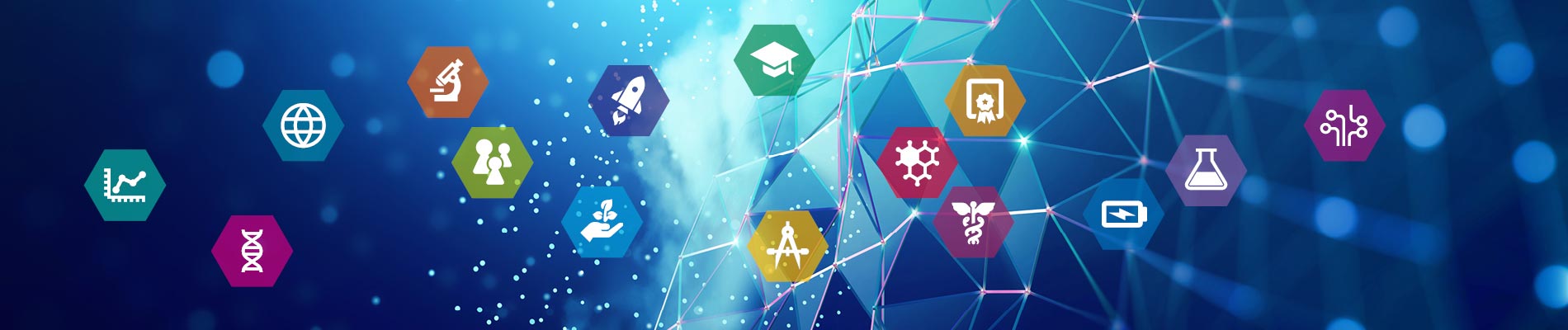 © Irina Gutyryak/Shutterstock.com