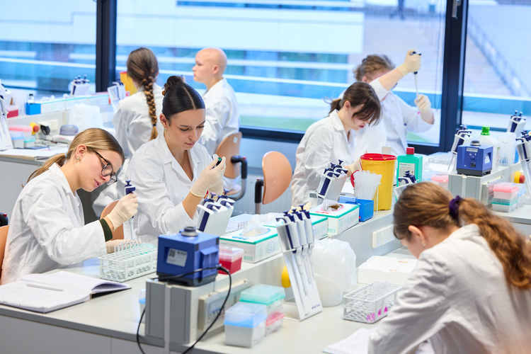 Studierende arbeiten in einem Labor der Hochschule Campus Wien.