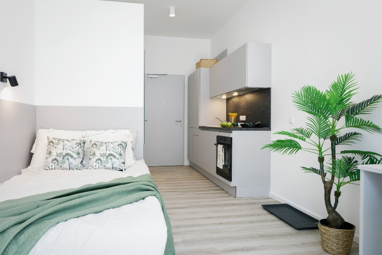 Ansicht eines Stadard-Apartments des Lumis Wohnheim. Im Vordergrund ein Bett und eine Zimmerpflanze; im Hintergrund eine moderne Küchenzeile. 
