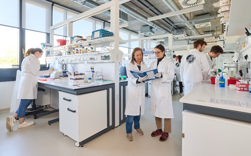 Forscher*innen im Labor Biotechnologie an der Hochschule Campus Wien 