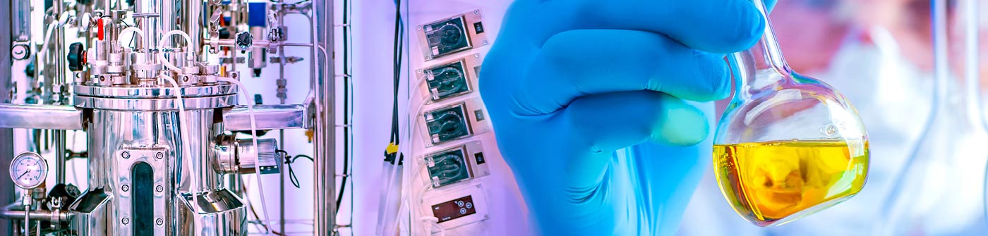 © FOTOGRIN/Shutterstock.com