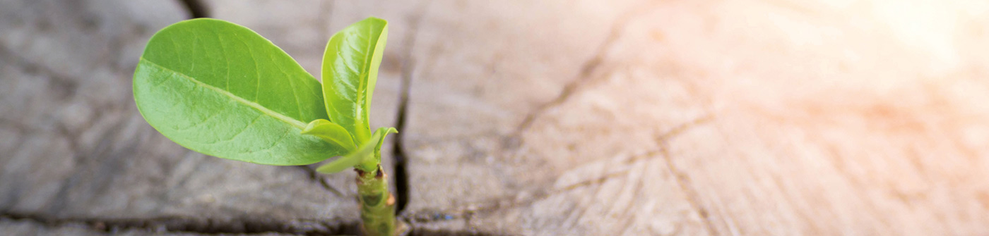 © Donkhuntod/Shutterstock.com