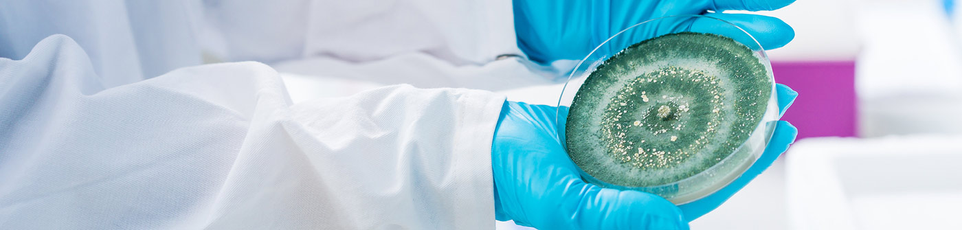 FH Campus Wien/Schedl