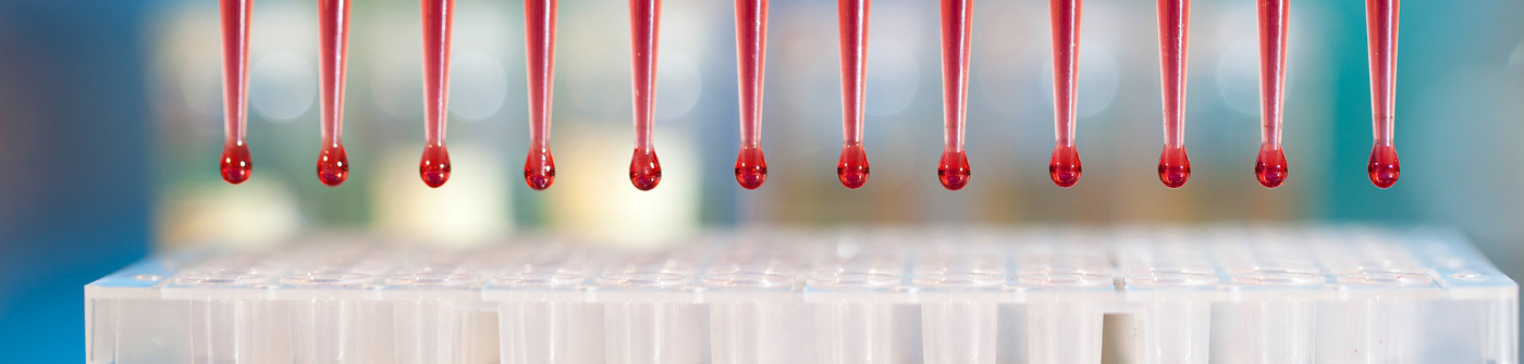 © motorolka/Shutterstock.com