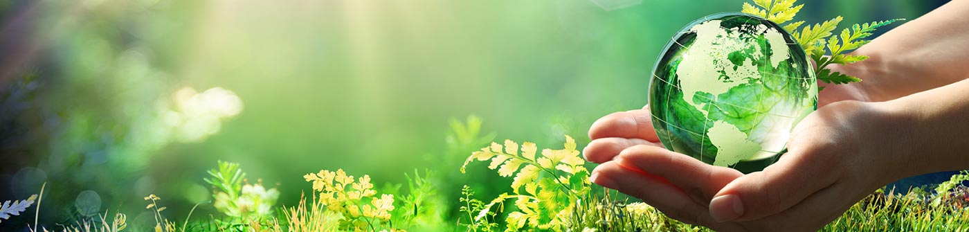 © RomoloTavani / iStock.com