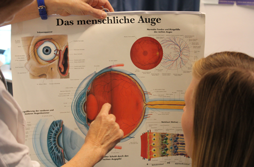 Bildausschnitt von der Studierende, die auf ein Plakat schaut, auf dem die Anatomie des Auges abgebildete ist. Es sind mehrere gezeichnete Querschnitts Bilder von einem Auge und die jeweiligen Bezeichnungen der Bereiche.