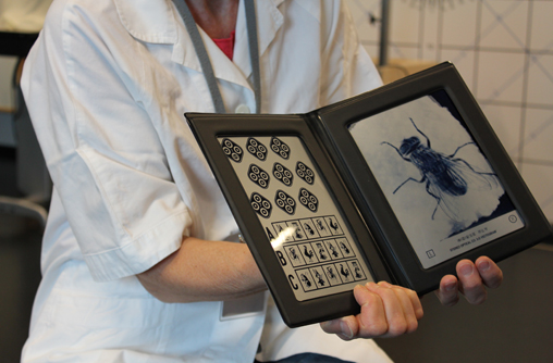 Die Vortragende hält eine Schautafel hoch, auf denen unterschiedliche Tiere und Formen zu erkennen sind wie zum Beispiel ein Huhn oder eine Fliege.