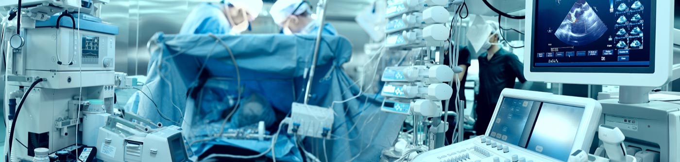 ©sfam_photo/Shutterstock.com