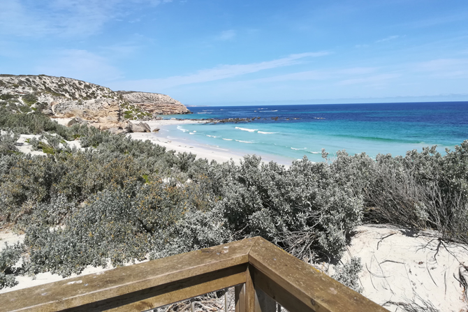 eine weiße Sandküste, dunkelgrüne Vegetation und blaues Wasser