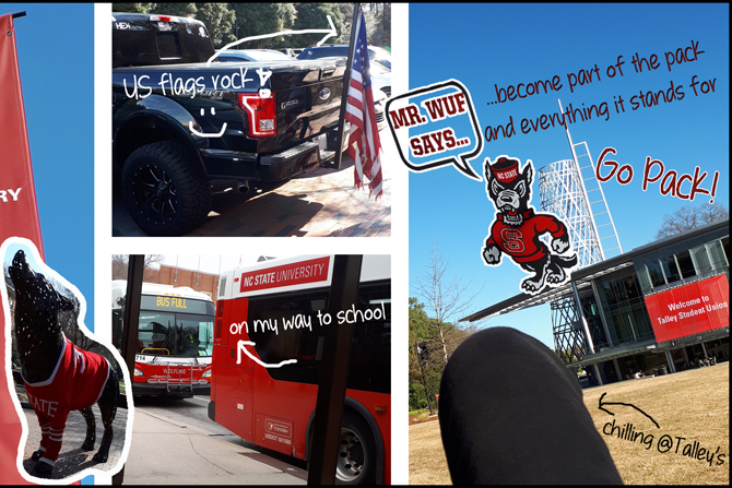 Collage von Aufnahmen am Campus der NC State University