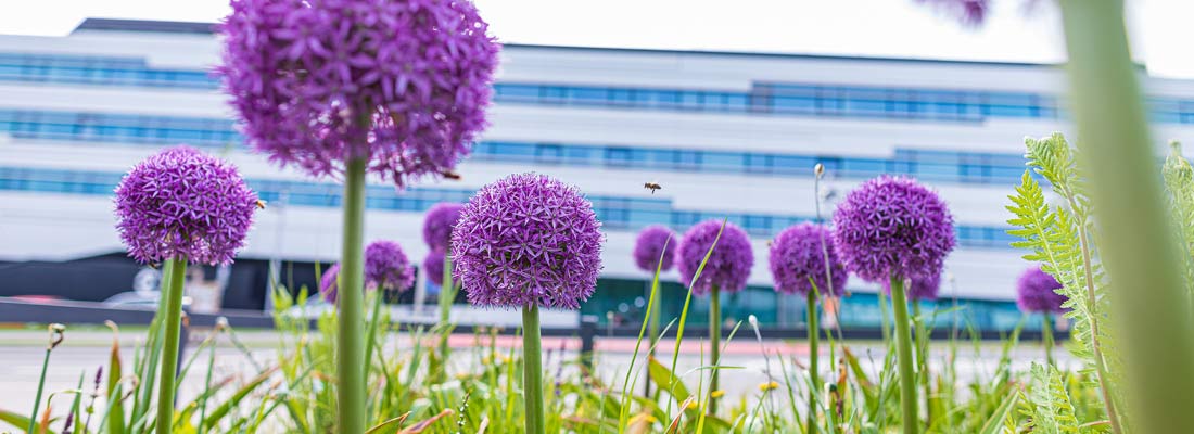 SMEP Tagung © HCW/Schedl ein Blumenfeld