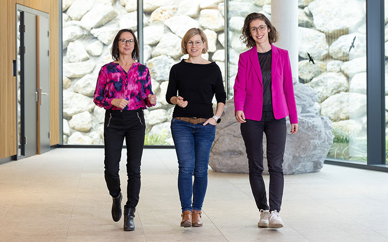 project team members 