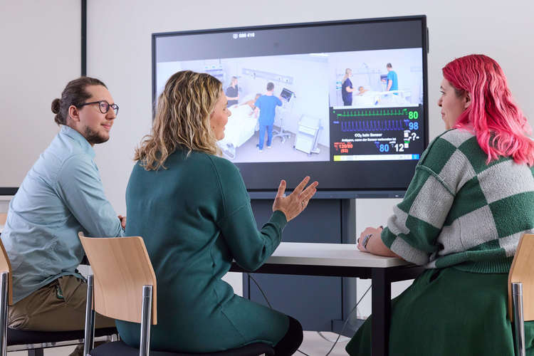 ©HCW/Schedl Drei Personen von hinten zu sehen diskutieren, vor Ihnen ein großer Screen mit Bildern einer Simulation