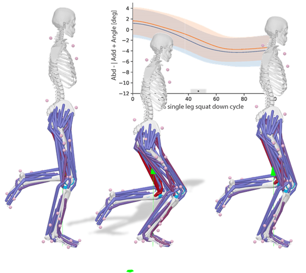 © 2013 Stanford University under Creative Commons Attribution License Simulation rendering of single leg squat down cycle